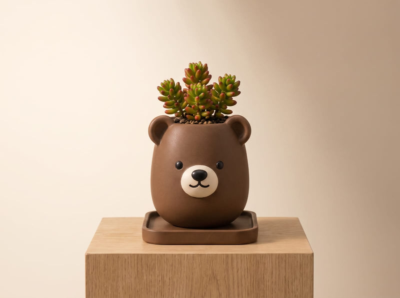 Bear _ Pancha Pot Mini planter indoor & Outdoor