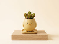 Chicken _ Pancha Pot Mini planter indoor & Outdoor