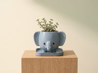 Elephant _ Pancha Pot Mini planter indoor & Outdoor