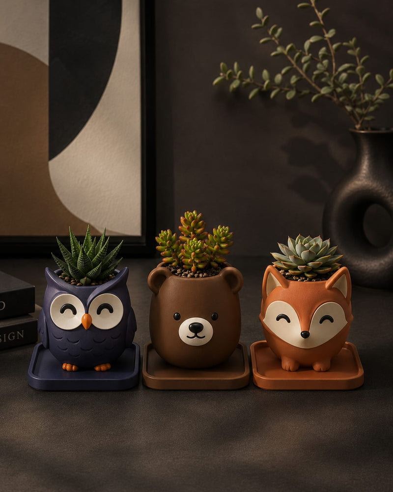 Pacha Pots - Fox, Bear, Owl (Pack of 3)