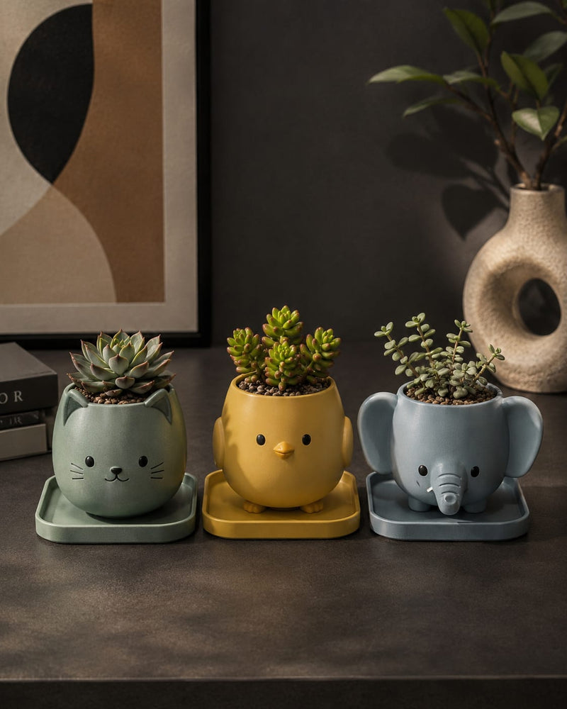 Pacha Pots - Elephant, Cat & Chiken (Pack of 3)
